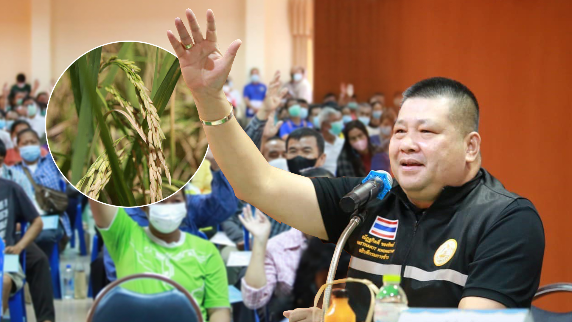 อธิบดีข้าว ร่วมถกคณะกรรมาธิการ พุ่งเป้าแก้ปัญหาการผลิต - จำหน่ายข้าว มุ่งยกระดับข้าวให้ได้มาตรฐาน GAP 1 ยกระดับข้าว3