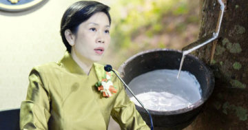 ยาง 1