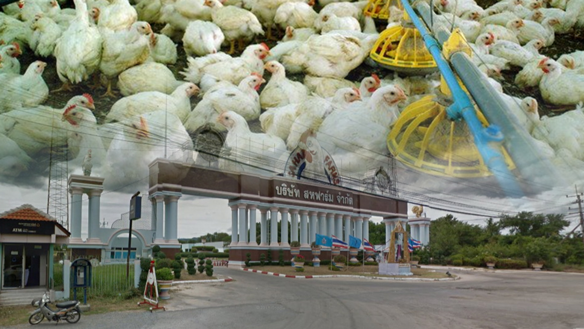 ศาลล้มละลายกลาง สั่งยกเลิกการฟื้นฟูกิจการ “สหฟาร์ม” กลับคืนสู่สถานะปกติ 1 สห2 1