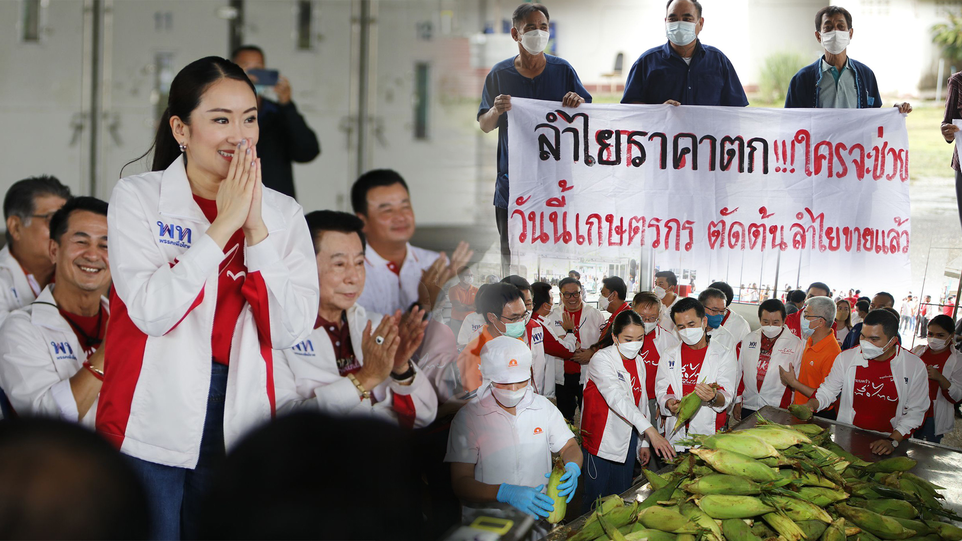 แลนด์สไลด์3