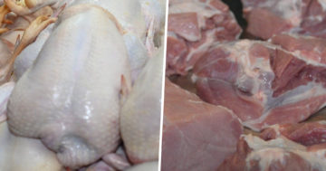 ไก่หมู3