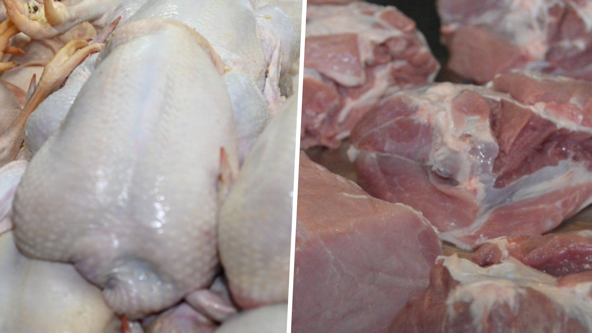 ไก่หมู3