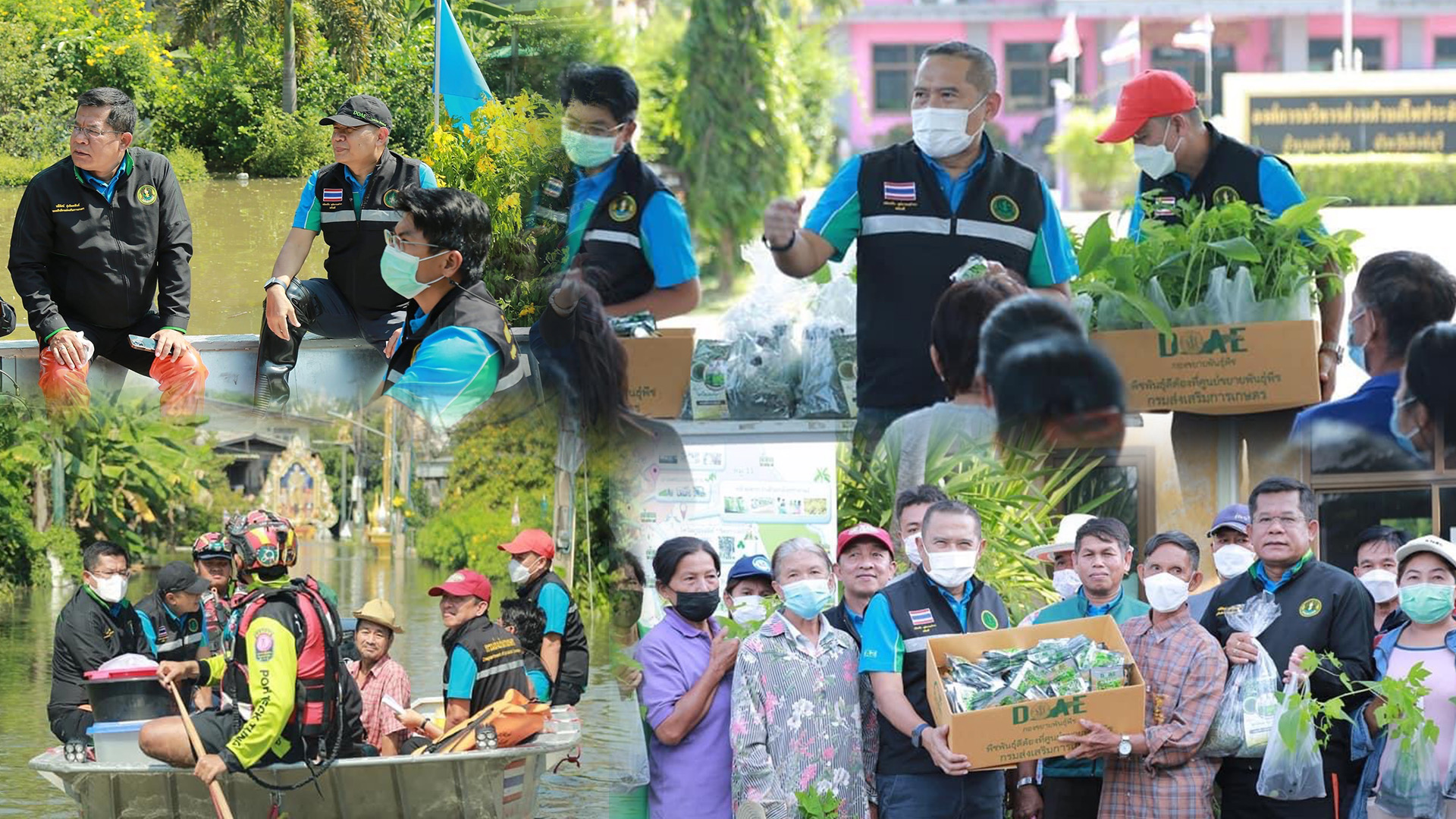 กรมส่งเสริมการเกษตรลงพื้นที่เยี่ยมเกษตรกรชาวสิงห์บุรีและอยุธยาพร้อมเยียวยาหลังน้ำลด 1 0675993B A88E 444B A635 9BEBA5CCCA0B