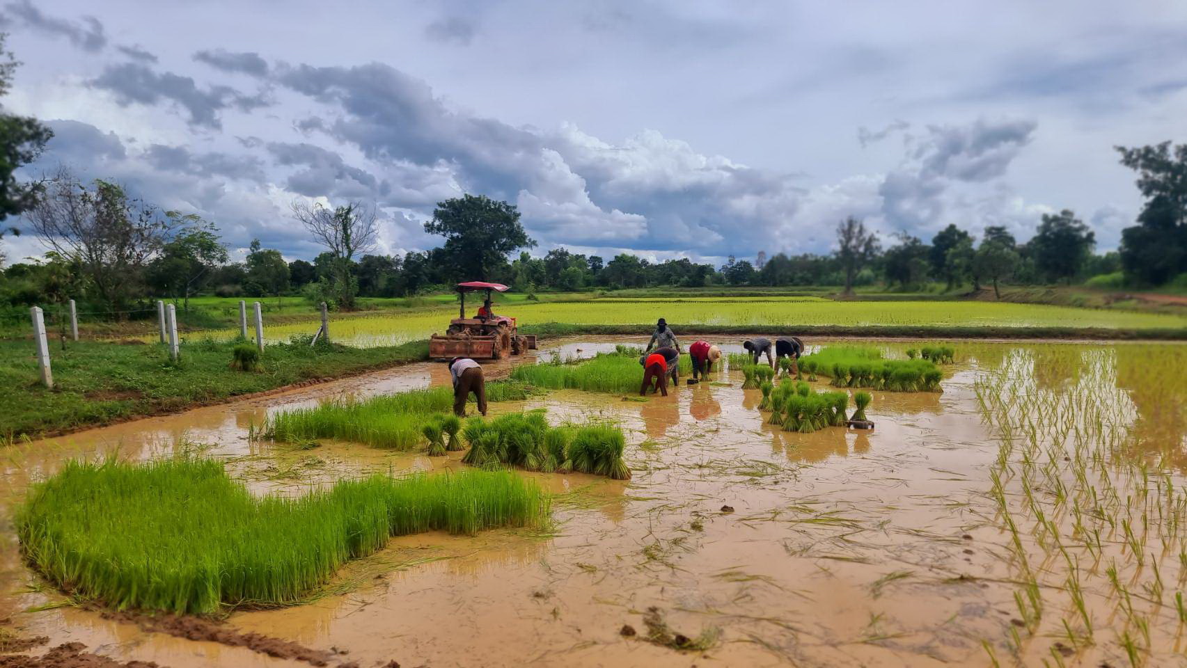 ยุทธศาสตร์“Common Prosperity”ของจีน อีกโมเดล นำมาประยุกต์ใช้กับภาคเกษตรกรรมของไทยได้ 4 1189787