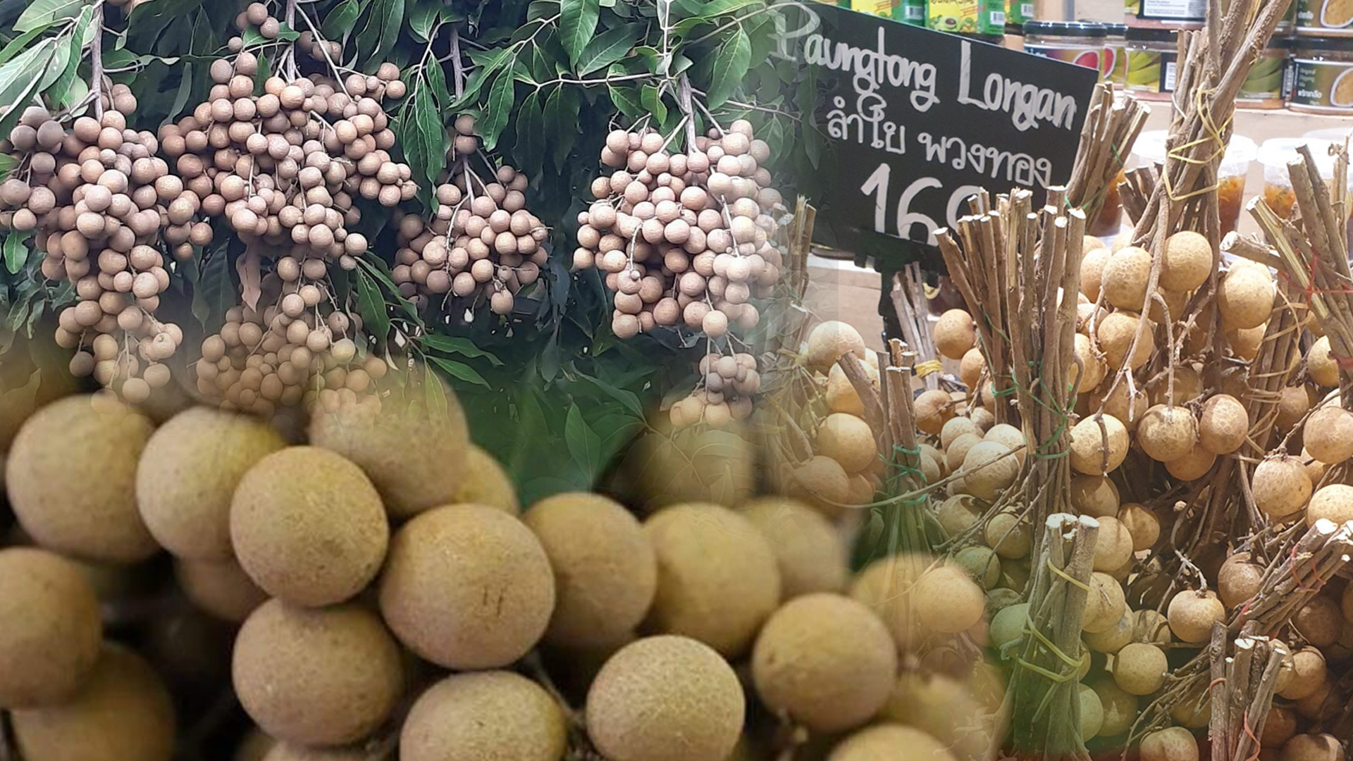 1775D0E8 0784 48A8 8487 C963781AB62F