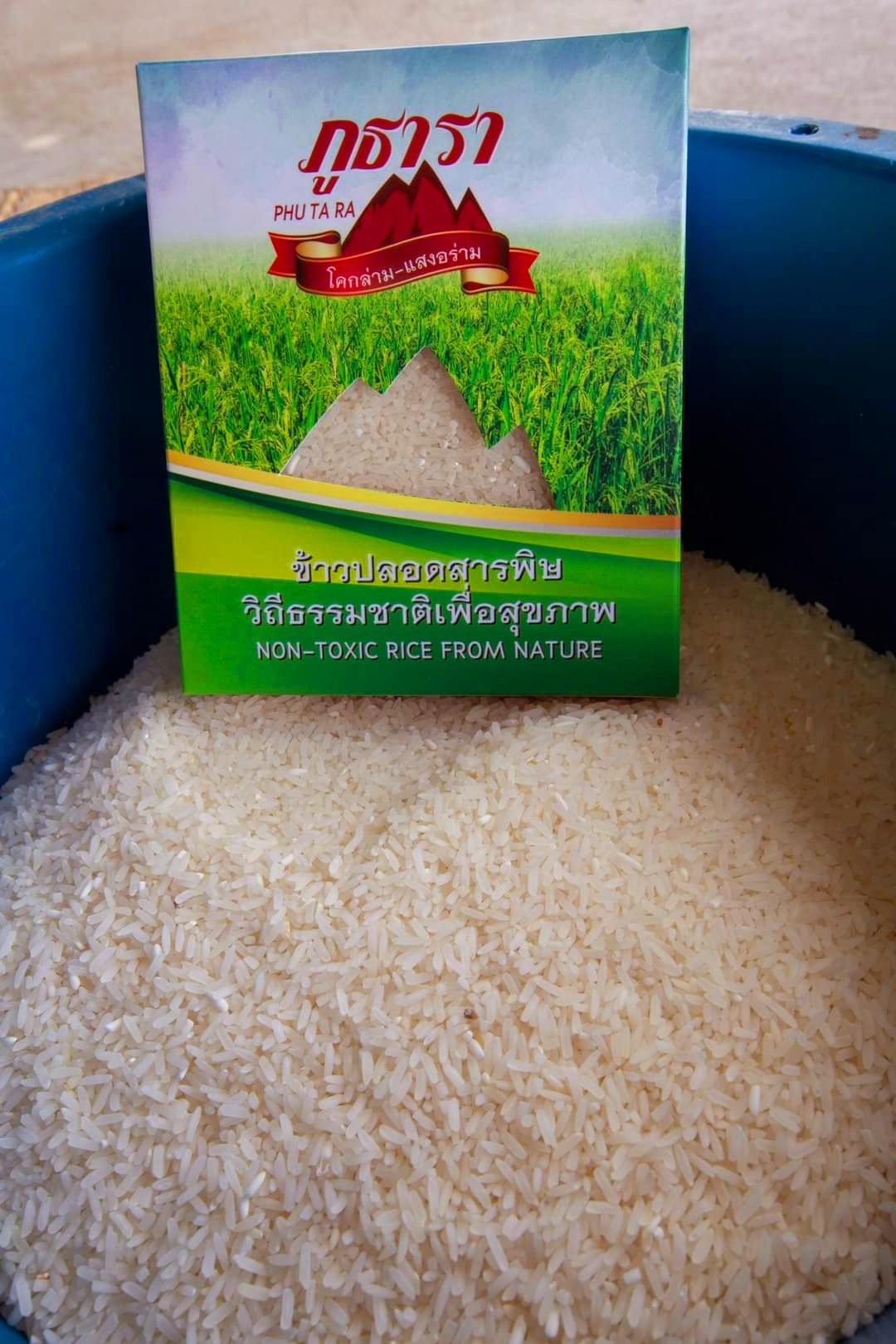 309707705 5612194558819719 8753504059678673490 n