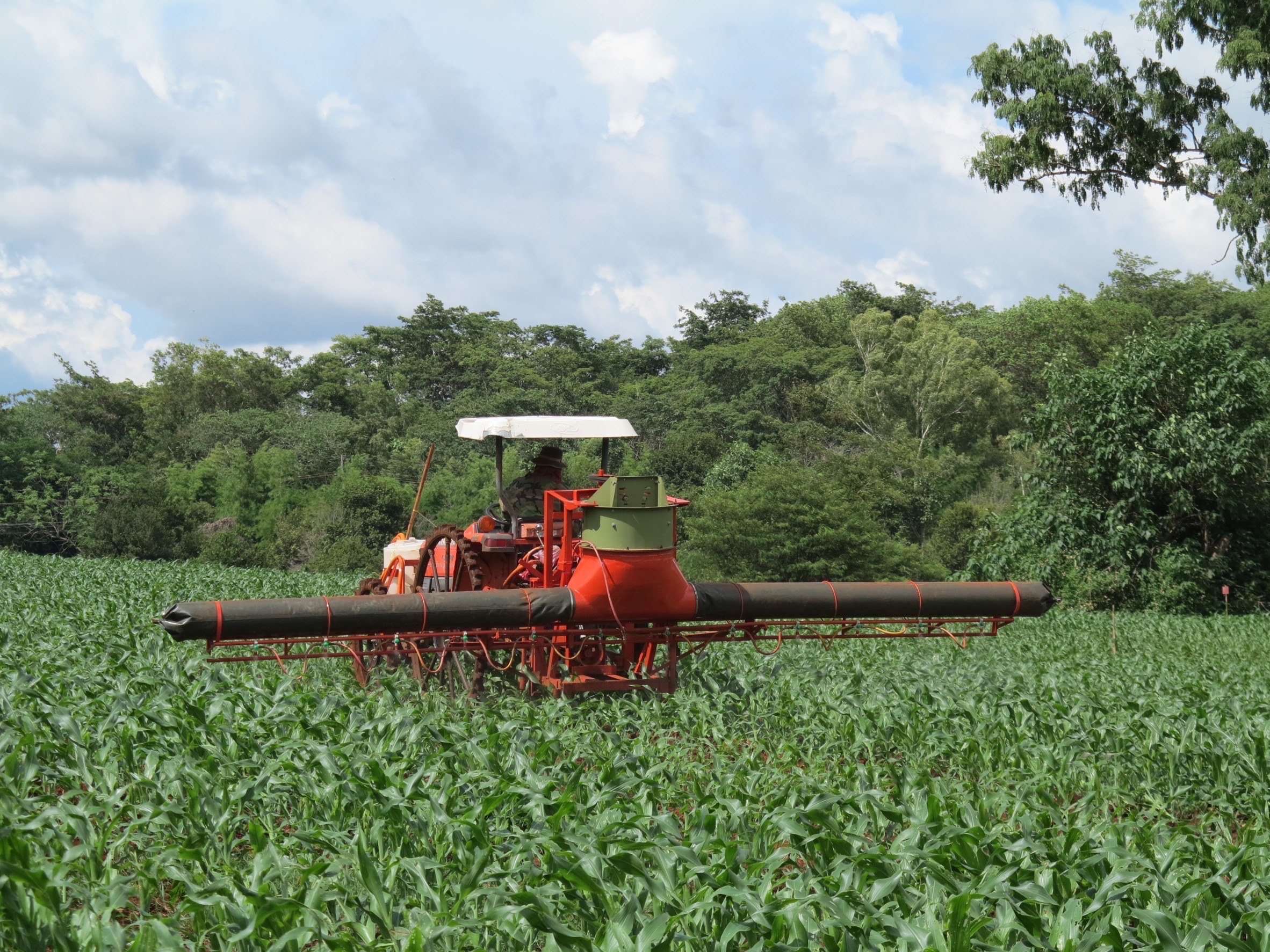 กรมวิชาการเกษตรจัดงานใหญ่ถ่ายทอดผลงานวิจัย 50 ปี ขับเคลื่อนนโยบายกระตุ้นเศรษฐกิจไทย 2 4ED64425 840C 4EC4 A822 E729EB0F24C7