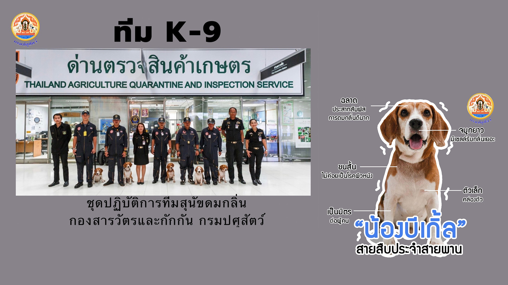 68FDD898 C370 4E9E A24E A389B139FA23