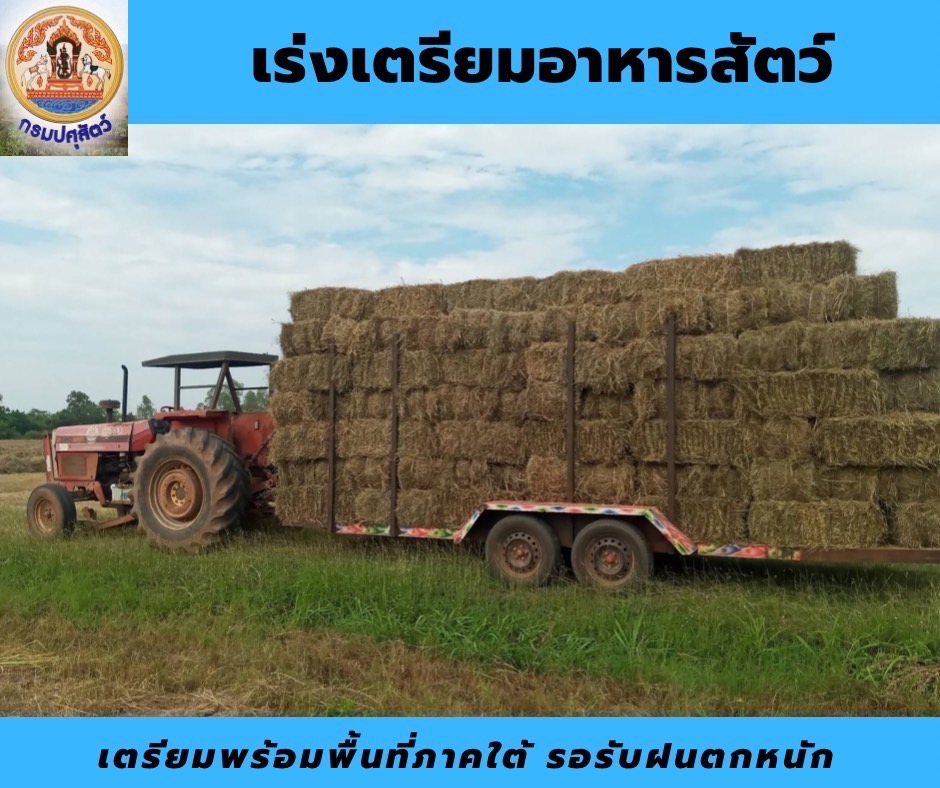 CC8DDA4F D537 412C 8855 4B6BEFB38159