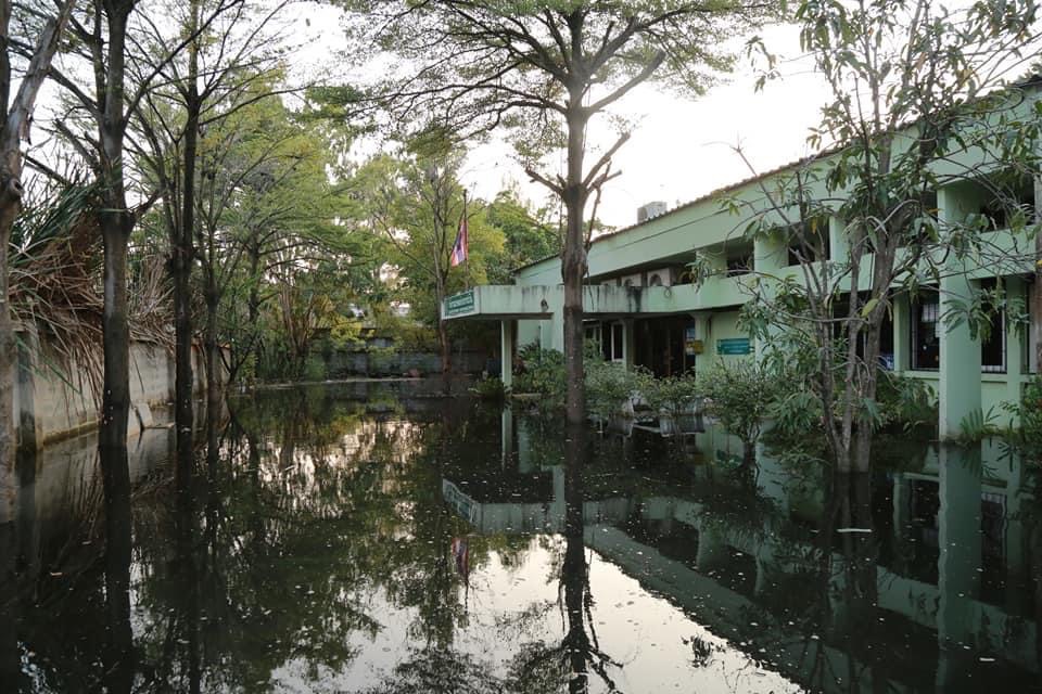 กรมส่งเสริมการเกษตรลงพื้นที่เยี่ยมเกษตรกรชาวสิงห์บุรีและอยุธยาพร้อมเยียวยาหลังน้ำลด 5 DFC6038A B4BD 437F 860F C013A0720FAE