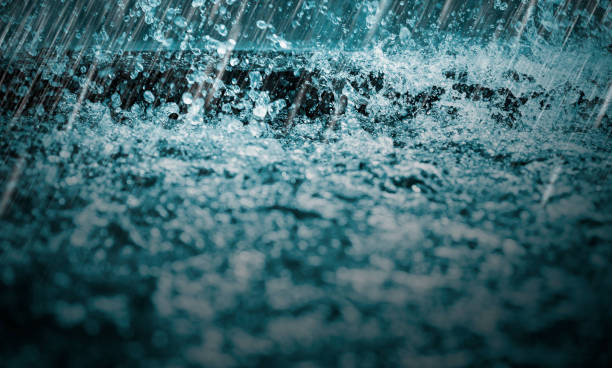istockphoto 1048136518 612x612 1