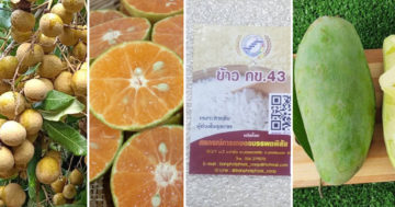 กรมพัฒน์3