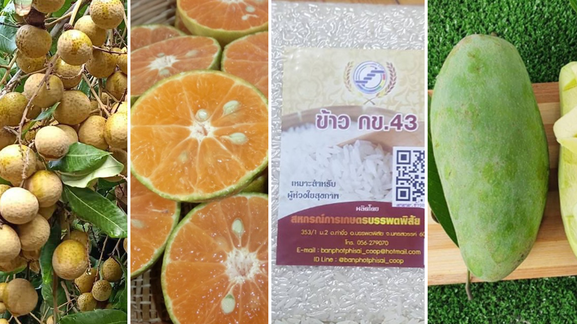 กรมพัฒน์ฯ ช่วยเกษตรกร-ชุมชน นำสินค้ากว่า 4,000 รายการ ขายผ่าน Shopee 1 กรมพัฒน์3