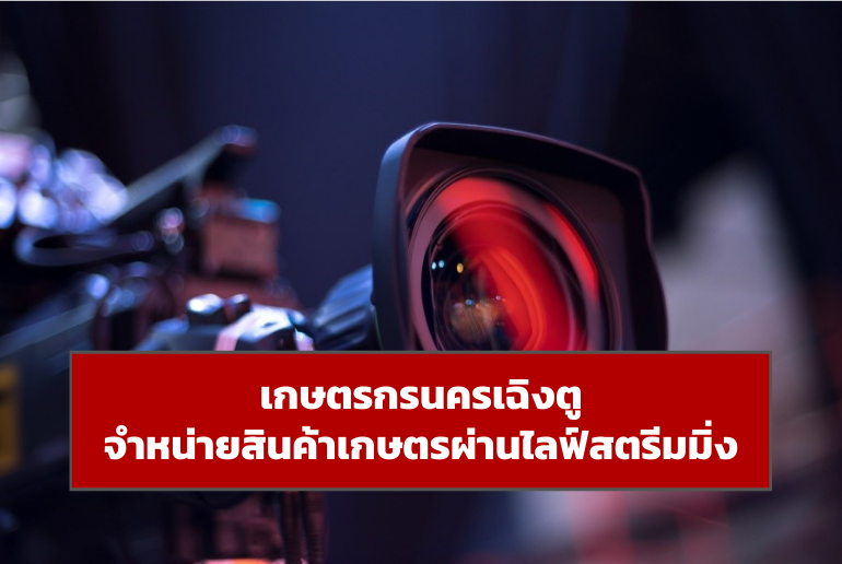 ขนาดหน้าปกข่าวเว็บ BIC 1