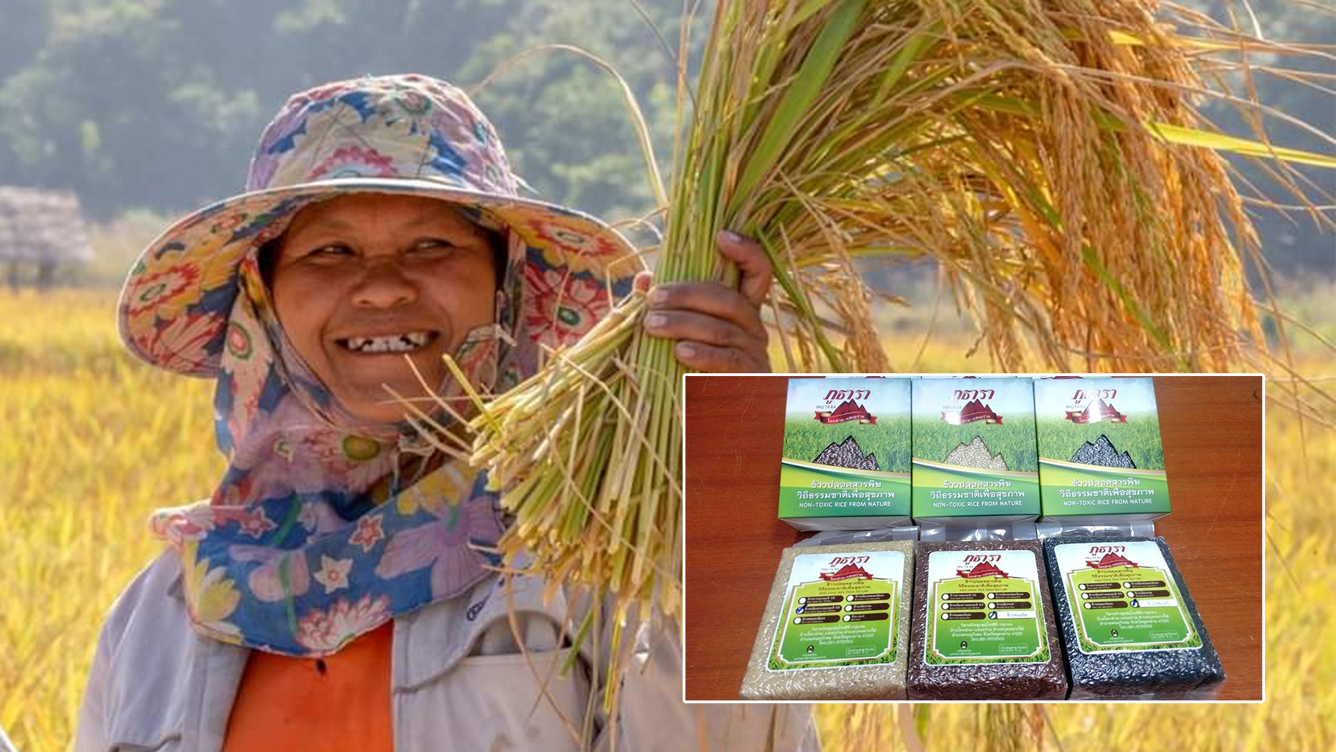 ข้าวภูธารา3