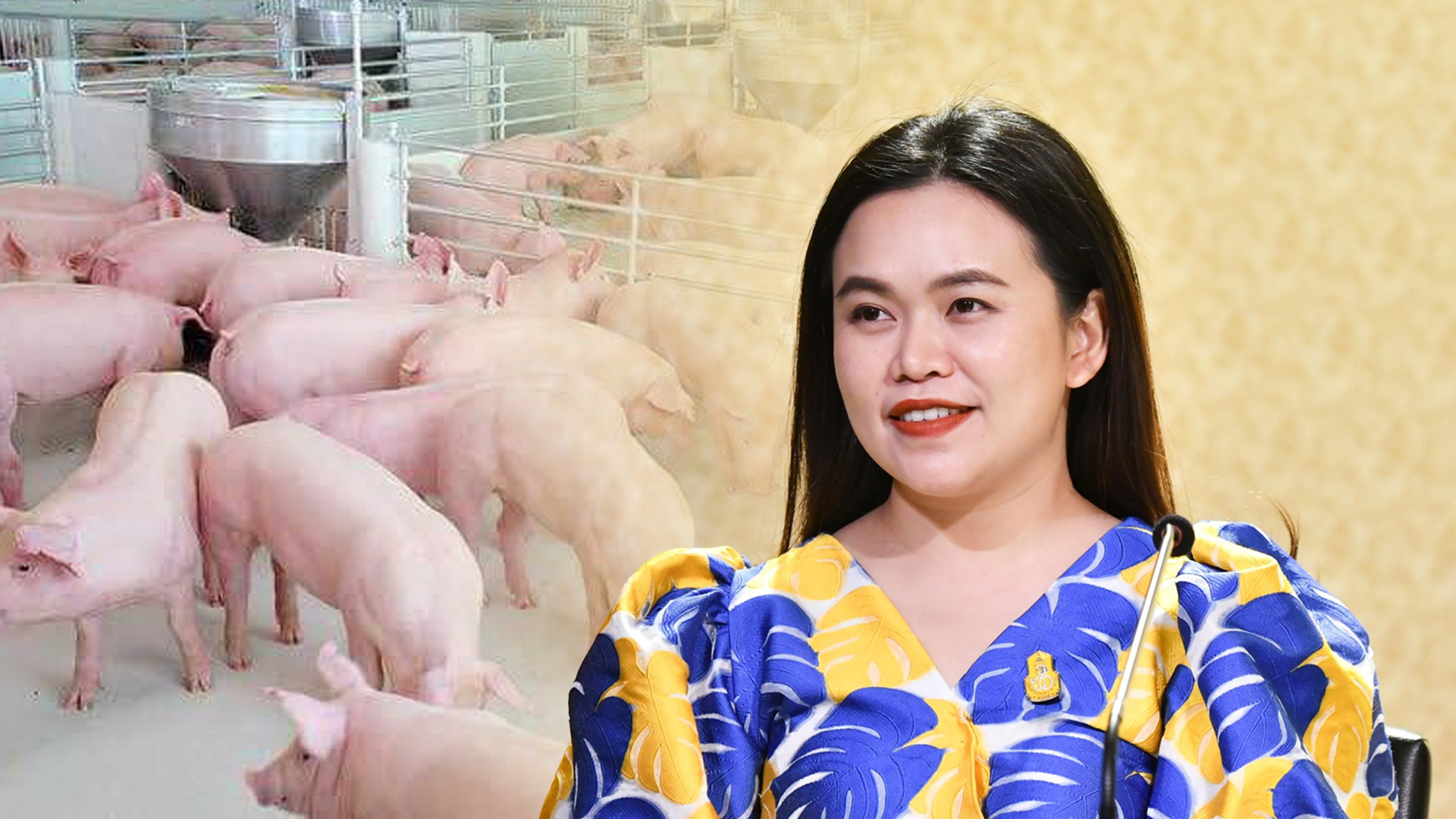 ครม2