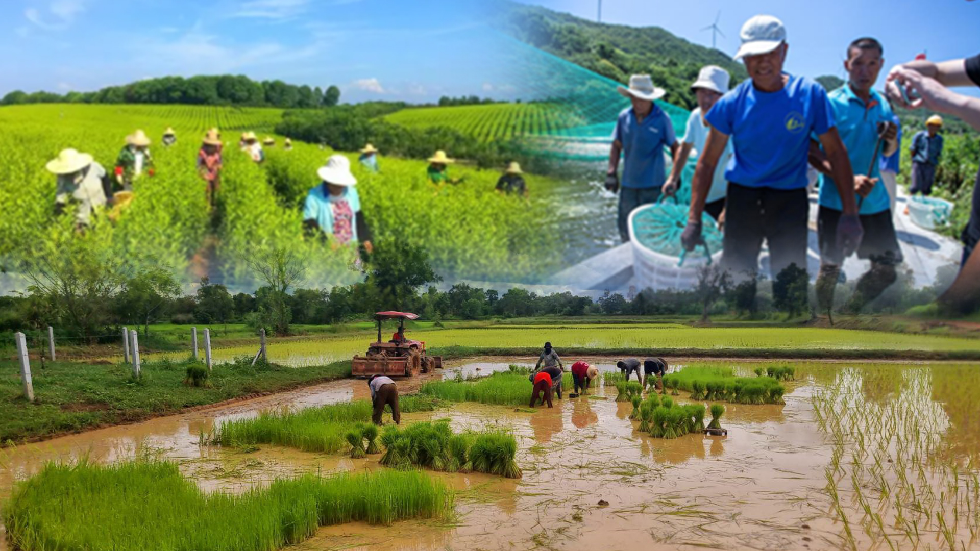 ยุทธศาสตร์“Common Prosperity”ของจีน อีกโมเดล นำมาประยุกต์ใช้กับภาคเกษตรกรรมของไทยได้ 1 จีน3