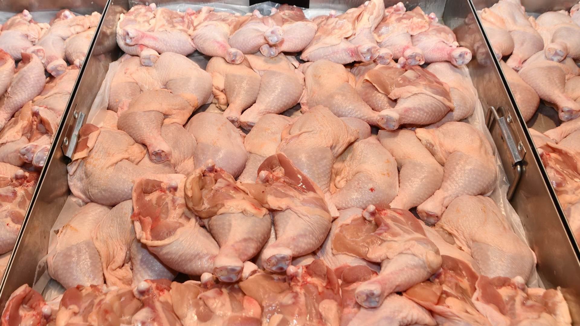 ข่าวดี ซาอุฯ ไฟเขียวไทยส่งออกไก่ได้ทุกชิ้นส่วนแล้ว 1 ซาอุ2 0