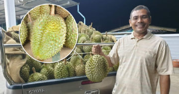 ทุเรียน2