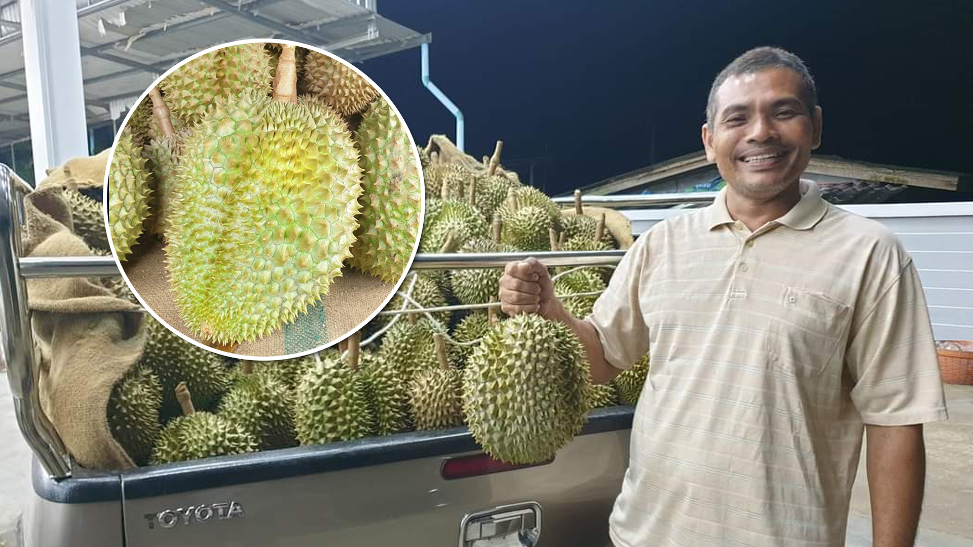 ทุเรียน2
