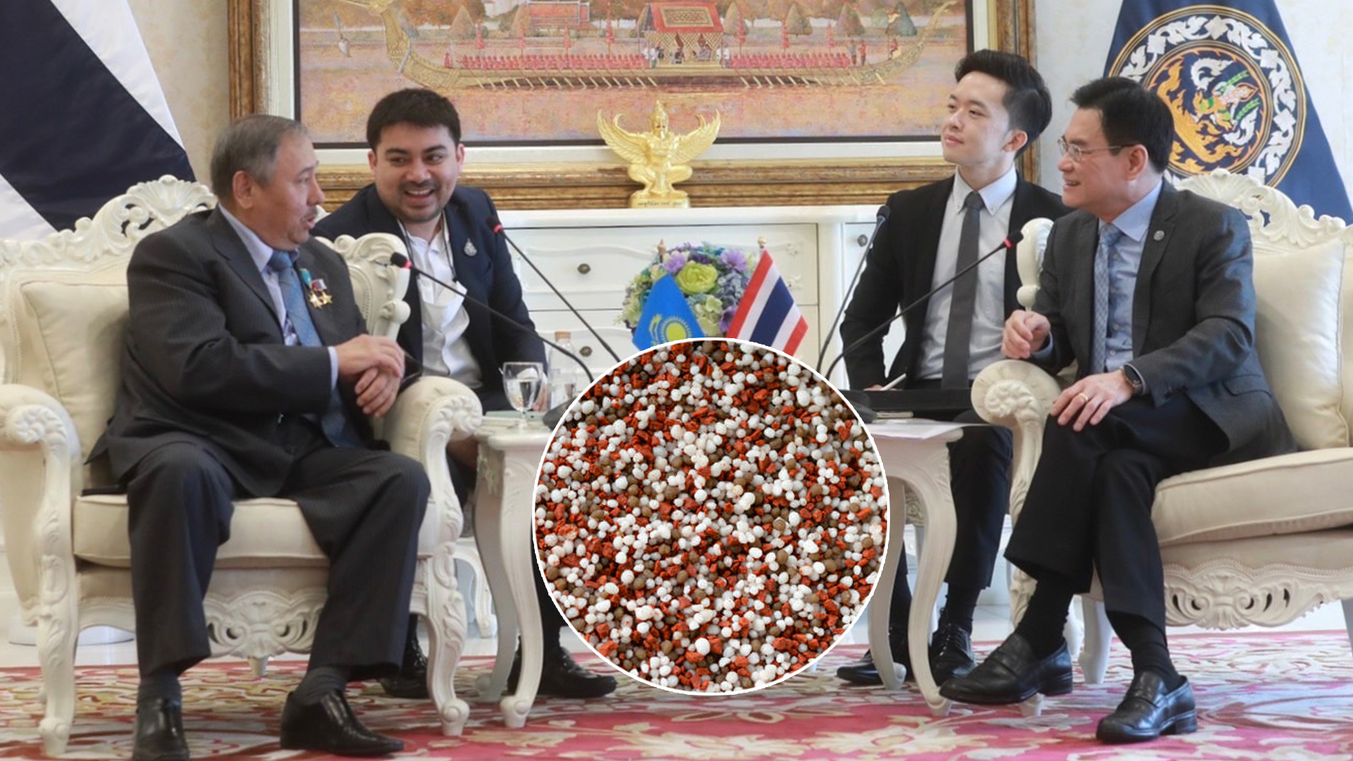 ปุ๋ย3 1