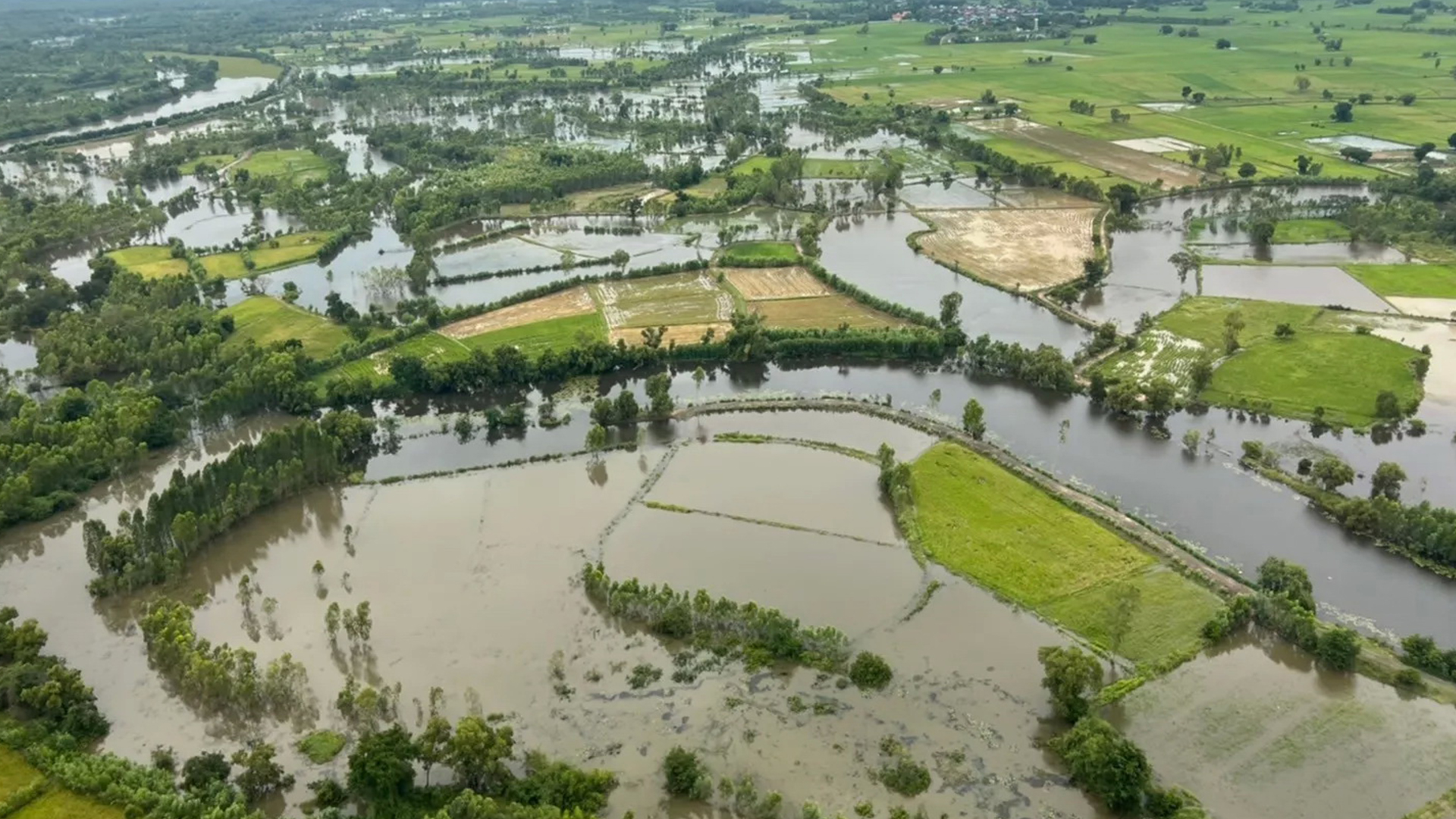 ศูนย์ติดตามฯภัยพิบัติด้านการเกษตร ระบุ ฝนที่ตกหนักส่งผลกระทบ 49 จังหวัด เกษตรกร 2.9 แสนราย พื้นที่ 2.1 ล้านไร่ 1 ผลกระทบพายุ388