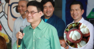 มังคุดใต้3