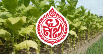 ยาสูบ