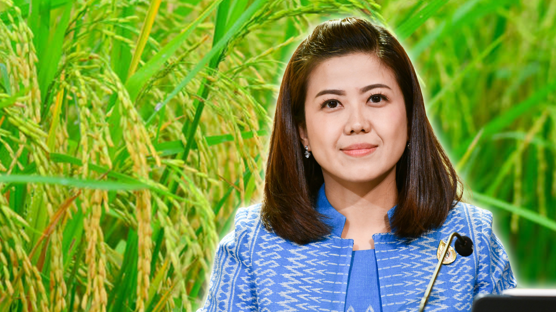 สิทธิประกัน3
