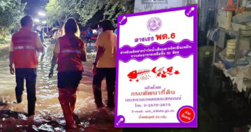 เฉลิม2 1