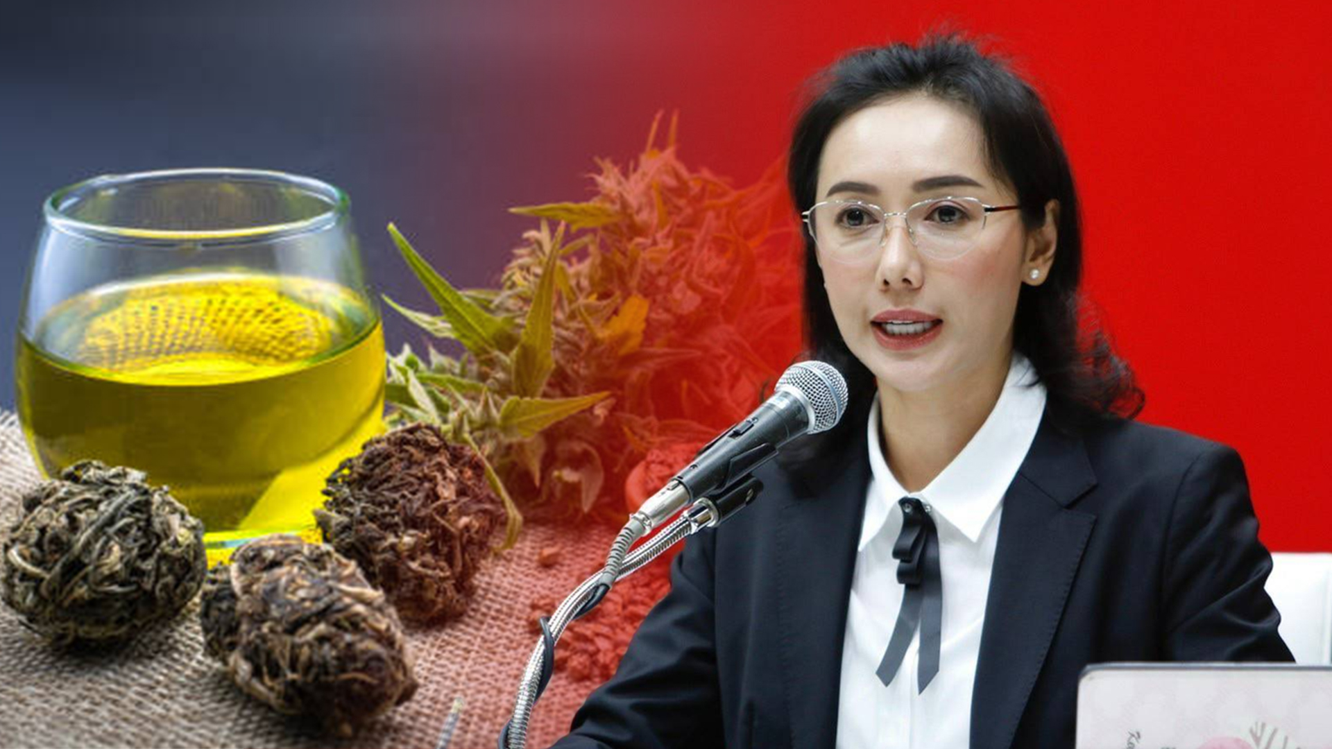 เพื่อไทย2