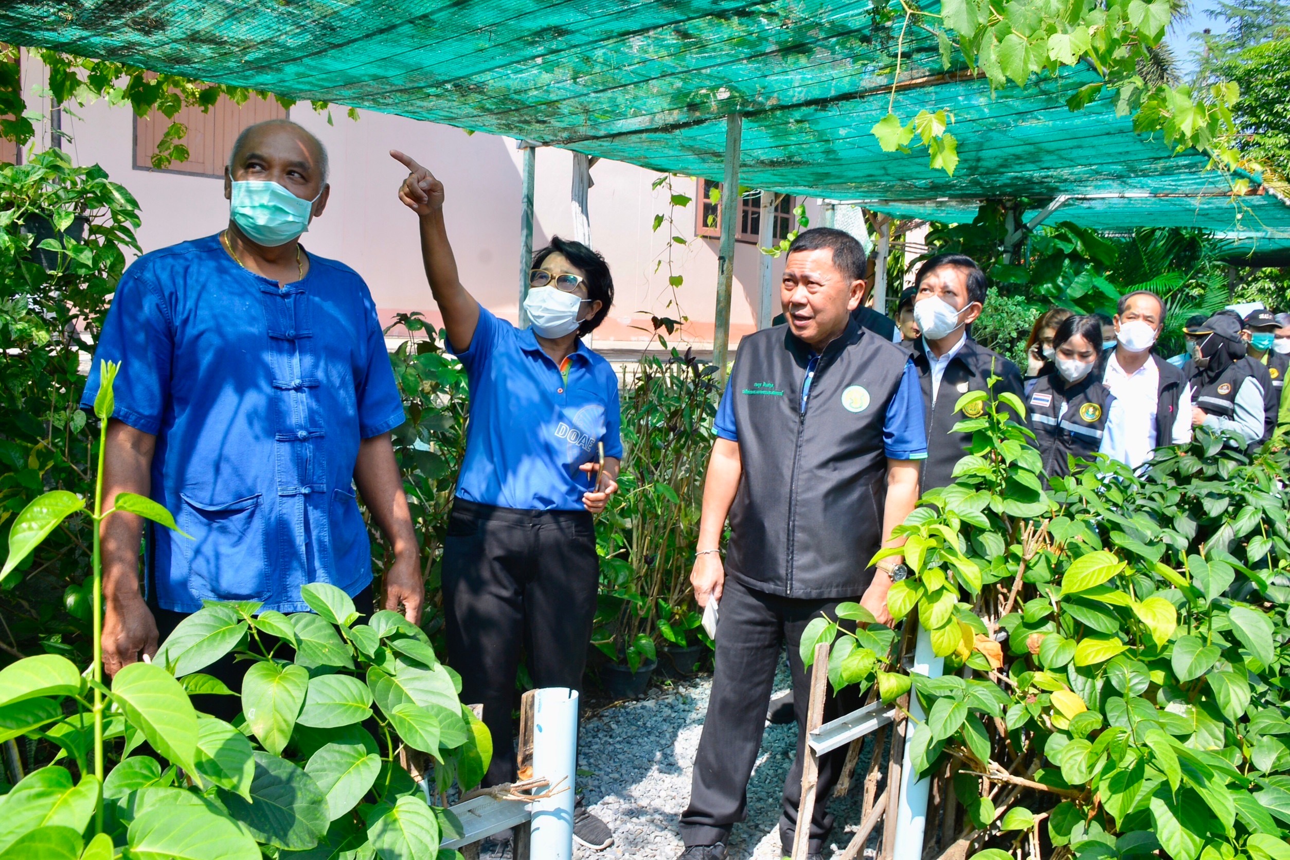 เกษตรฯยก“สวนศรีวิเชียร”นำร่องสวนเกษตรโคก หนอง นา โมเดล จ.สิงห์บุรี หลังรอดน้ำท่วมมาได้เพียงสวนเดียว 3 0761FF45 7794 4942 9147 9FFF359B6350