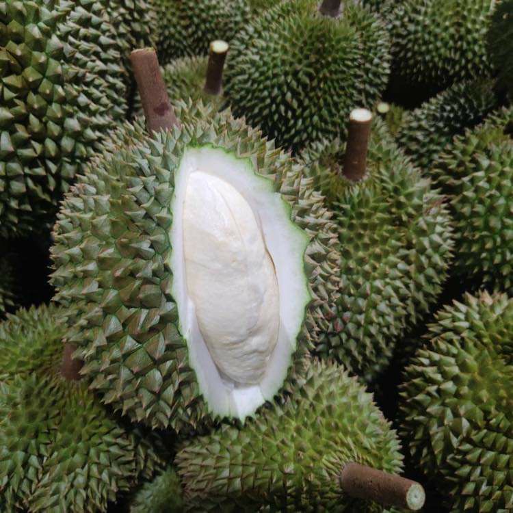 ส่งฟ้องศาลแล้ว! คดีสวมสิทธิ์ทุเรียน ส.ส.เมืองจันท์ จี้ผู้เกี่ยวข้องเร่งรัดคดีที่ยังค้างก่อนถึงการเปิดฤดูกาลผลไม้ 2 0C11E2A1 7975 4585 A925 2EBDEF947E88