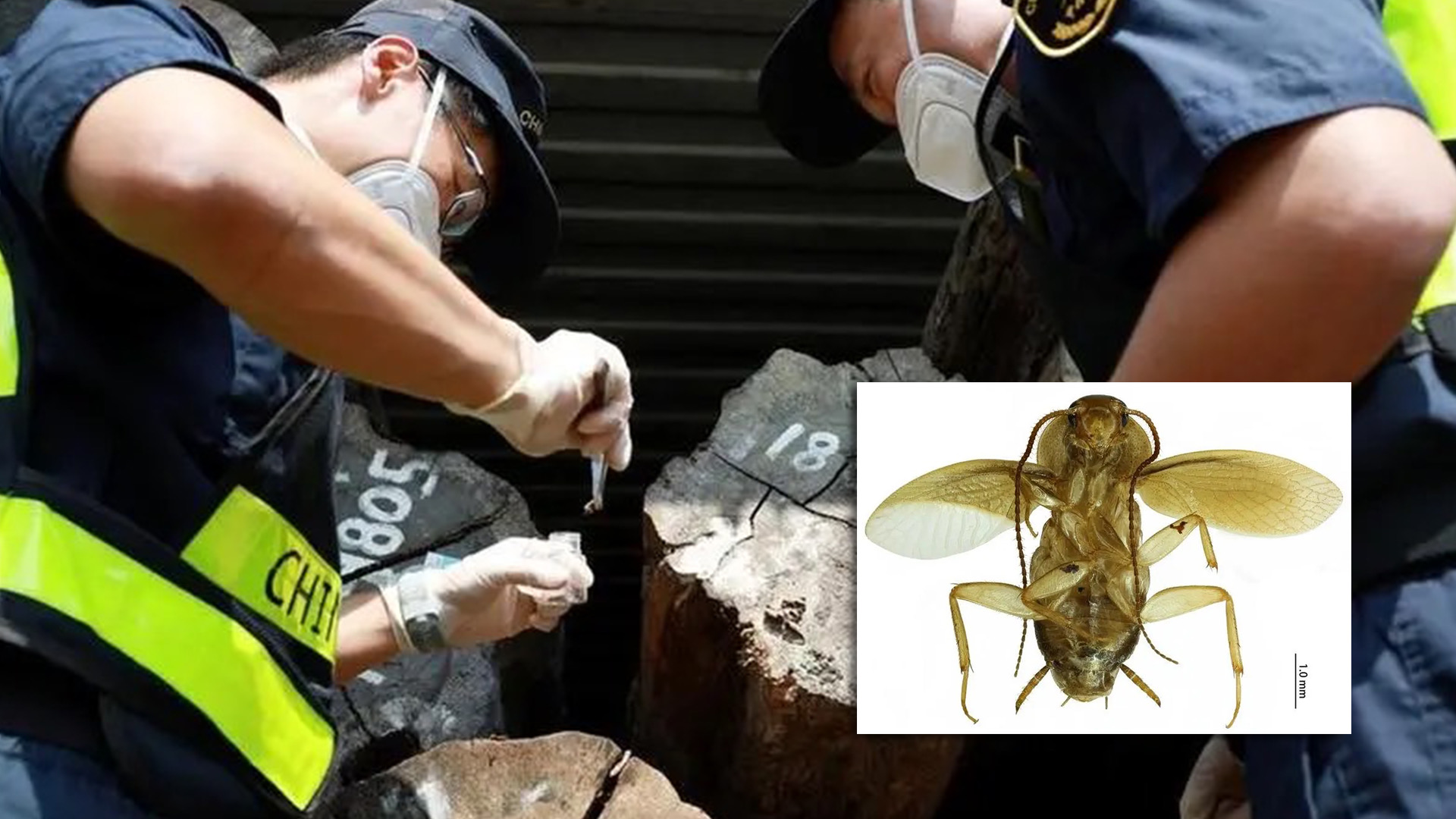 11F8A57B CA8F 4E1C BA58 EF0004AD8BFC