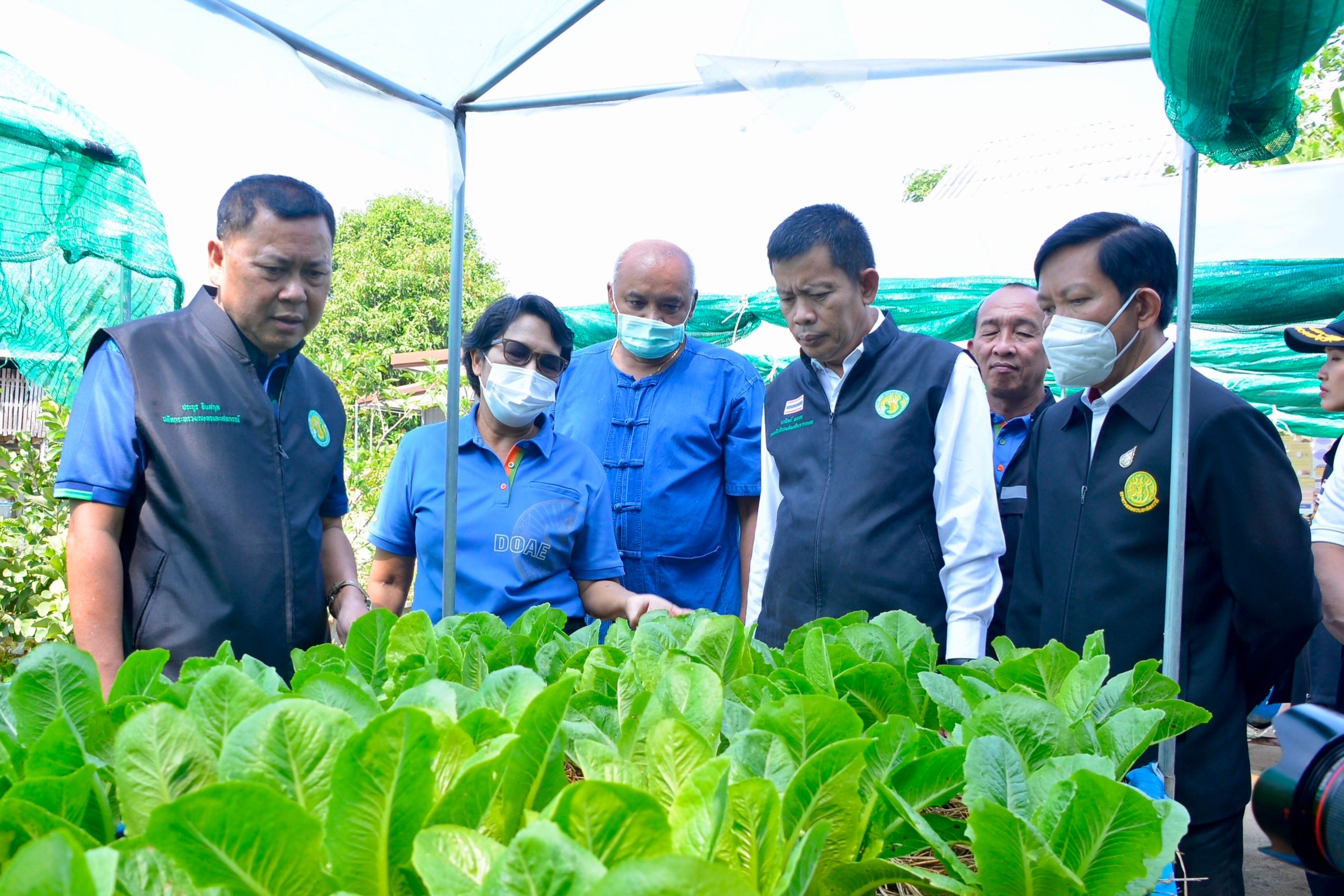 เกษตรฯยก“สวนศรีวิเชียร”นำร่องสวนเกษตรโคก หนอง นา โมเดล จ.สิงห์บุรี หลังรอดน้ำท่วมมาได้เพียงสวนเดียว 2 120A89B2 4B01 48F4 A28A 20E08D5FF2C4