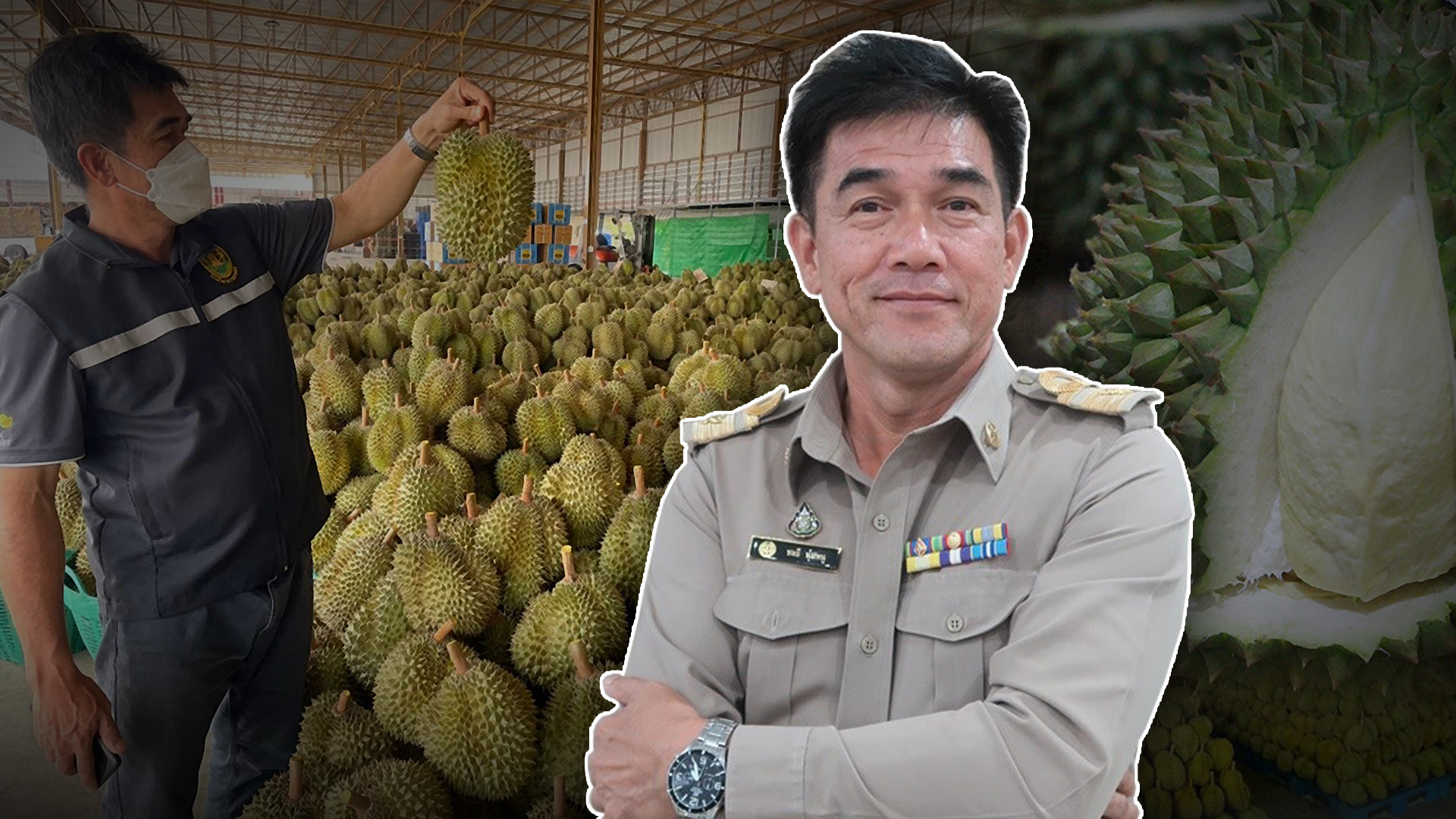 สมาคมทุเรียนไทย นำทัพเป็นตัวแทน 16 องค์กรยื่นหนังสือทบทวนย้ายมือปราบทุเรียนอ่อน !! 3 15ADB682 8BDC 4B2A 96D2 60A16B38BC22