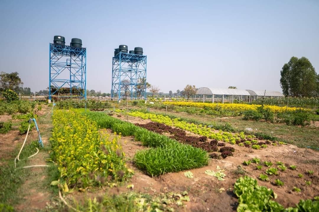 ชุมชนเข้มแข็งด้วยวิถีเกษตรอินทรีย์ 313315977 5717115038327670 850335771012621223 n