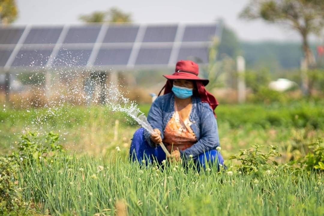 ชุมชนเข้มแข็งด้วยวิถีเกษตรอินทรีย์ 314350113 5717115111660996 5209824349538086523 n