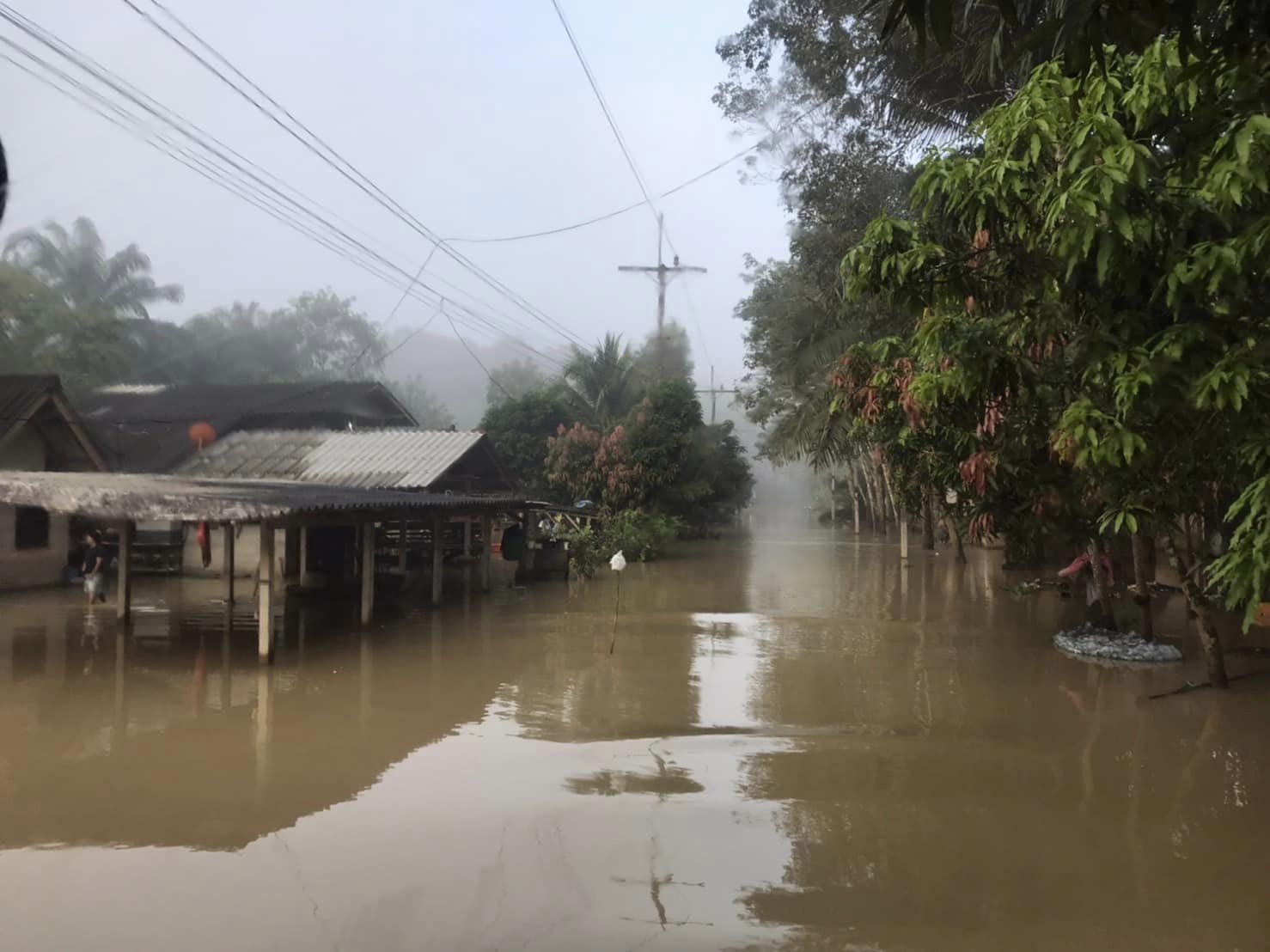 เตือนชาวนาช่วงนี้ยังมีฝนอาจกระทบเก็บเกี่ยว 3 317069006 443851054587971 7729561129074452141 n