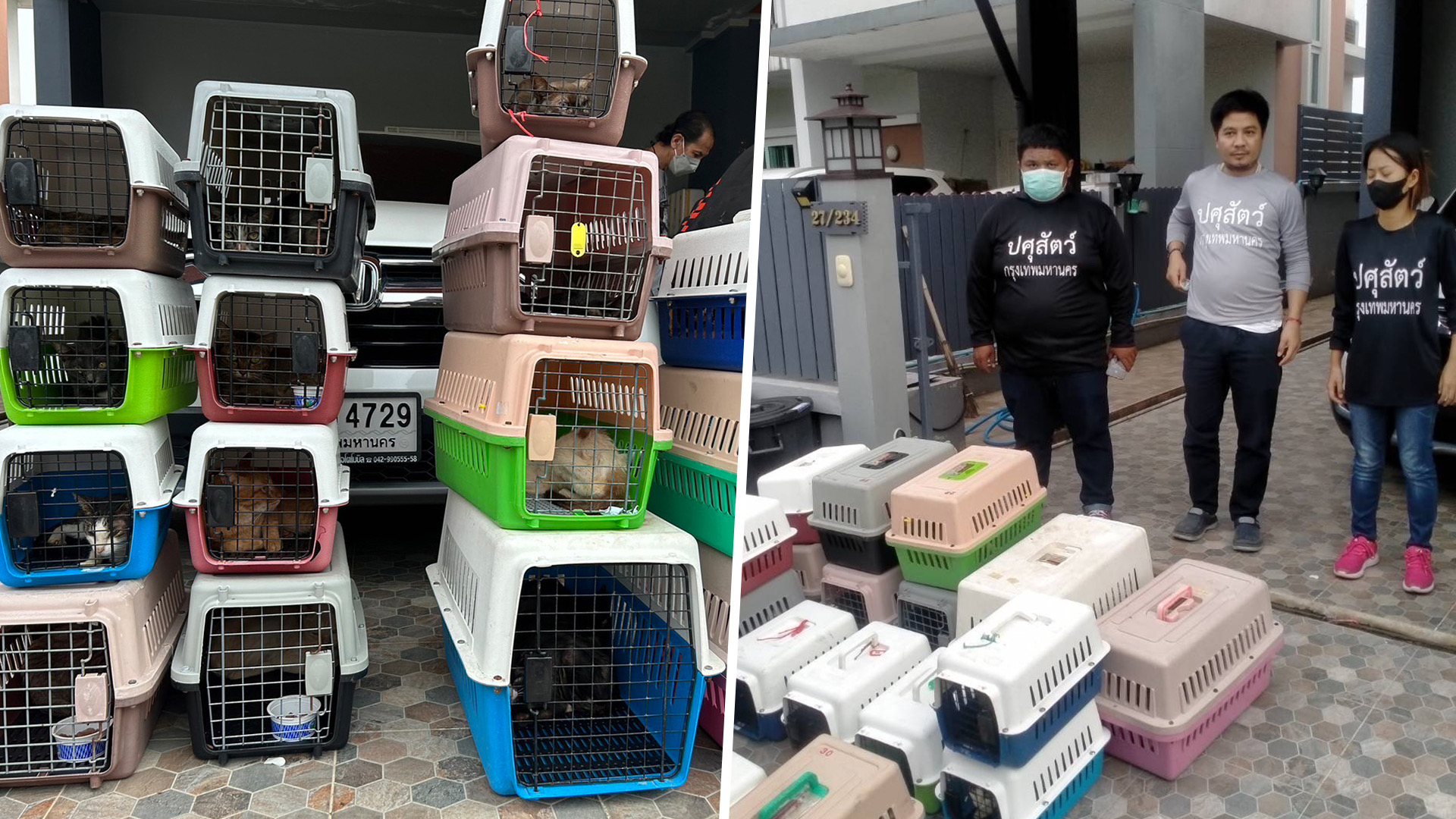 หลายหน่วยสนธิกำลังบุกช่วยหมา-แมว ถูกทิ้งหิวโซ และยังพบซากสัตว์ตายเกลื่อนบ้านย่านคลองสามวา 1 3CC236FB C716 4CC2 B34D 1E0D31098879