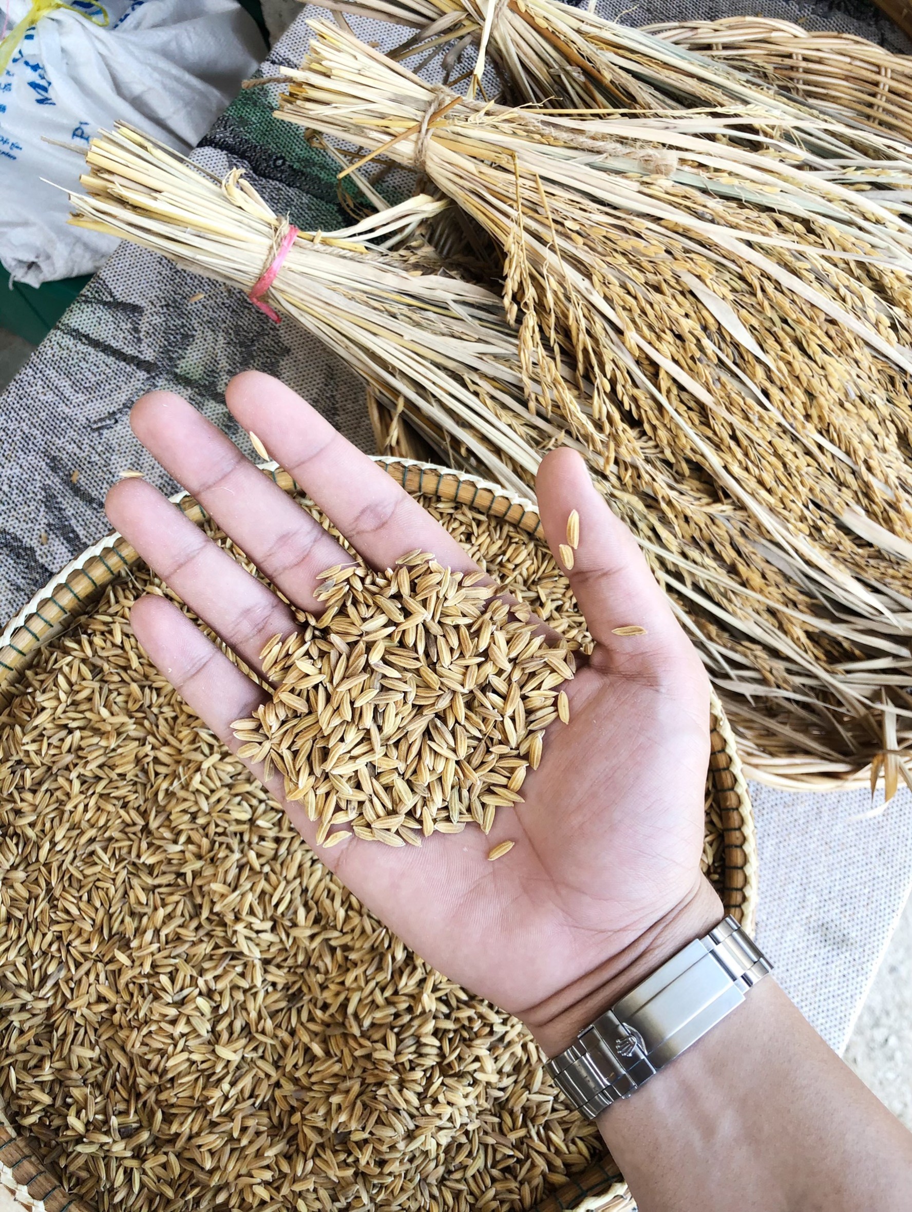 สุราษฎร์ฯ เตรียมเดินหน้าขยายผลสร้างการรับรู้ทุกภาคส่วน บริโภค 4 2