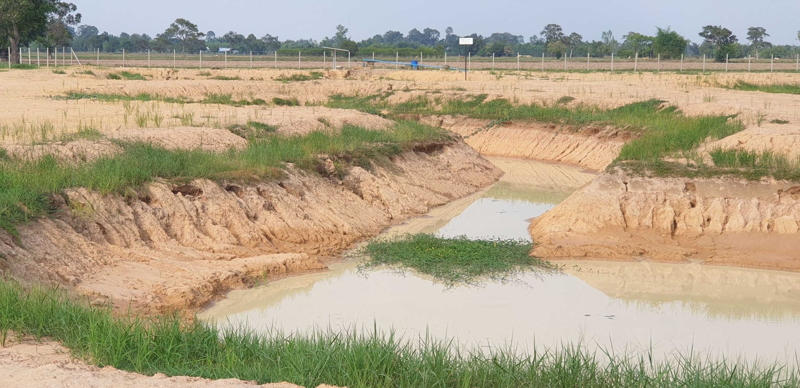 แจ้งจับสาวพัฒนาชุมชนปลอมเอกสารตุ๋นผู้รับเหมา ขุดบ่อ 440AF732 8886 4A5E BF3A 37E009732B7F scaled