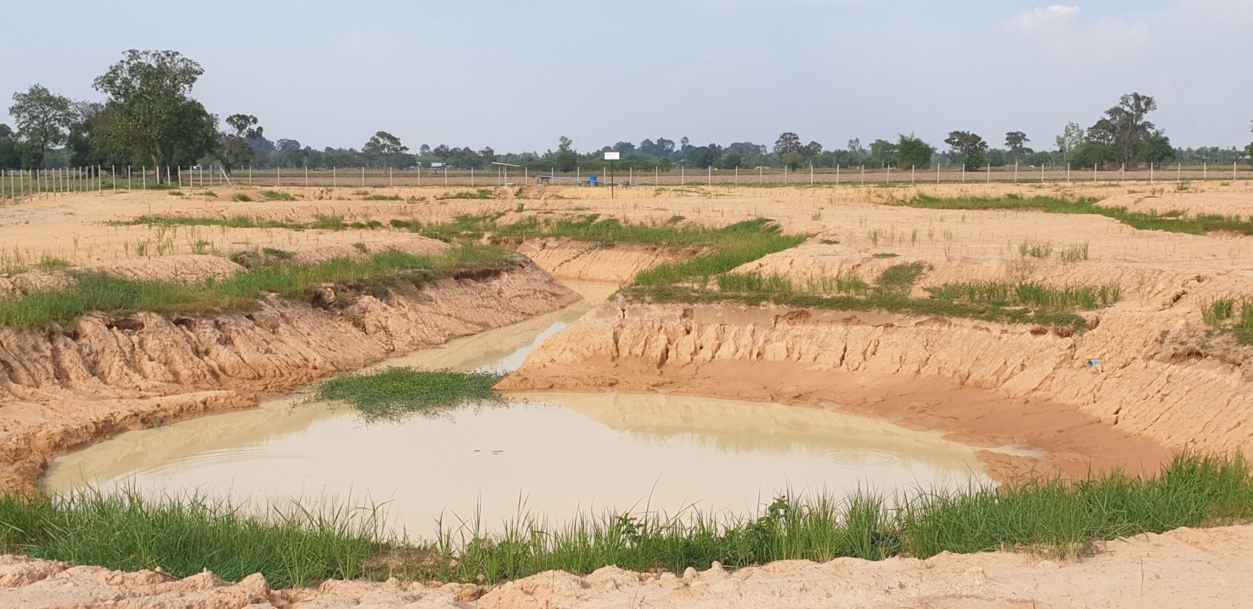 แจ้งจับสาวพัฒนาชุมชนปลอมเอกสารตุ๋นผู้รับเหมา ขุดบ่อ 88836B0C 187F 40F9 8467 583F75D2D447 scaled