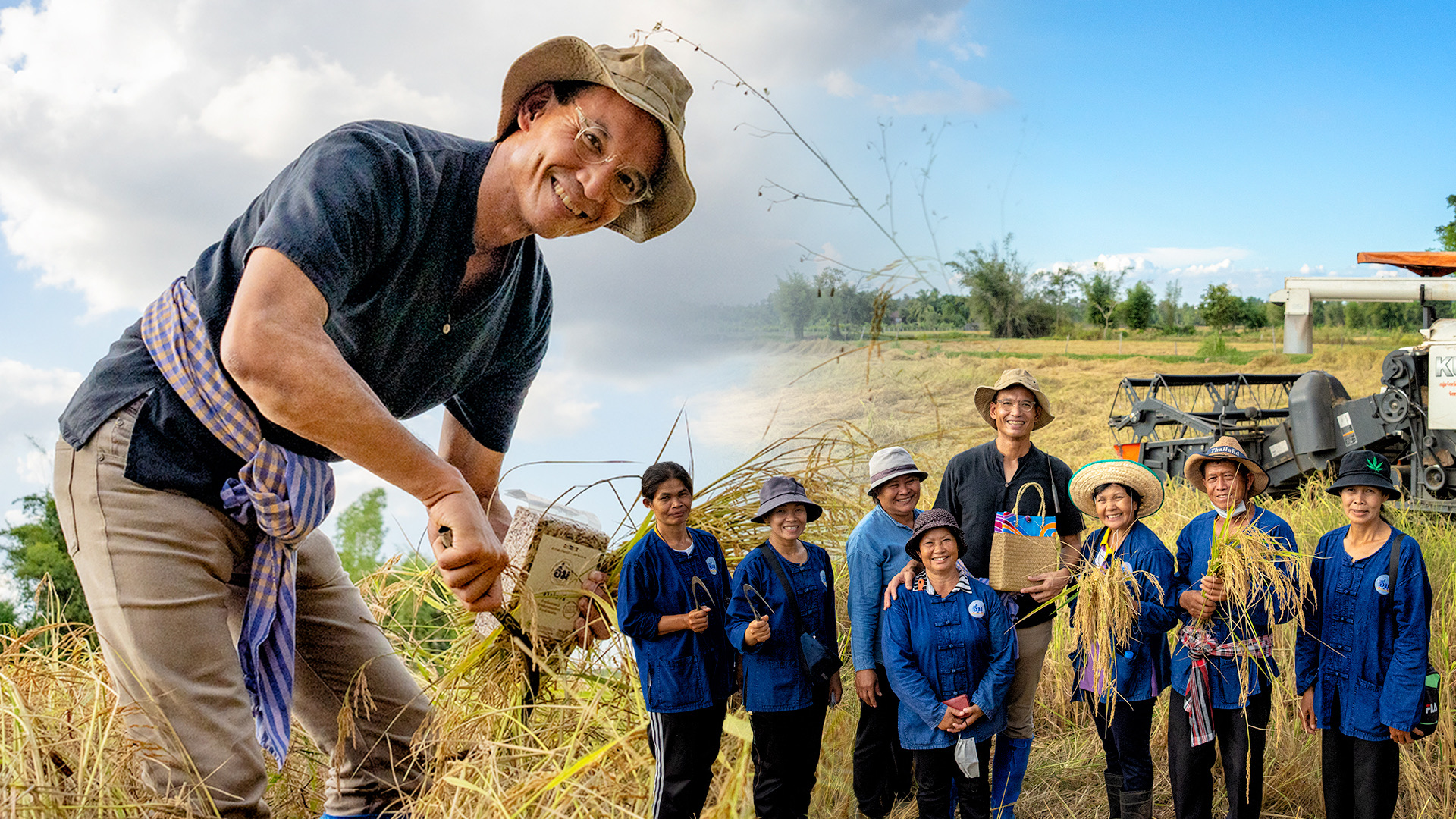 “กรณ์”ลงนาเกี่ยว“ข้าวอิ่มมหาสารคาม”ครบปี 9 ชาวนาปลื้มทำข้าวอินทรีย์ ปลดหนี้ทั้งหมู่บ้าน มุ่งมั่นทำเกษตรพรีเมียมได้รับรางวัลระดับประเทศ 1 89AC3909 158C 4AAA 9366 8291CB6C0C77