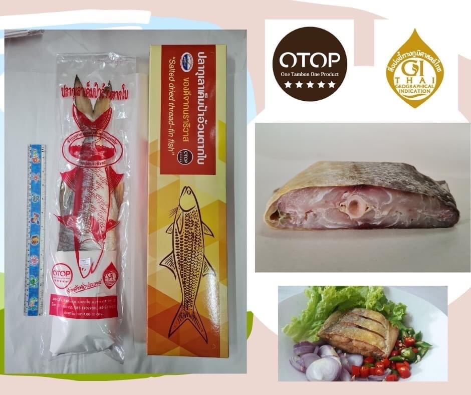 รัฐบาลเคลียร์ดราม่า”ปลากุเลาตากใบ”เสิร์ฟผู้นำเอเปก ยันซื้อจริงของแท้จากร้านป้าอ้วนโอทอป 5 ดาว 5 8A62D4F1 578D 455A A029 232B79D8EE8E