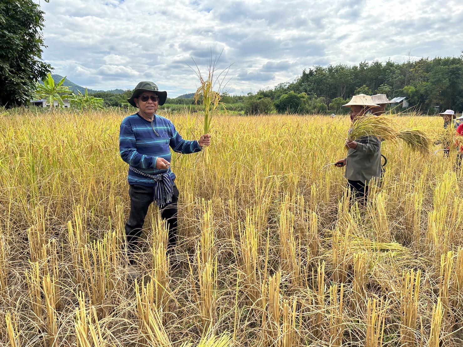 912E2088 BA44 444A AA18 DB6A298226CD