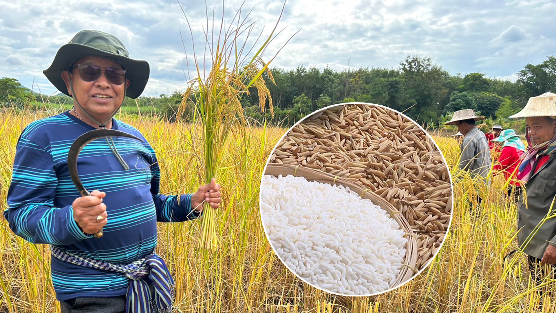 D580563F 230A 4270 A14E EDCFDAC283CD