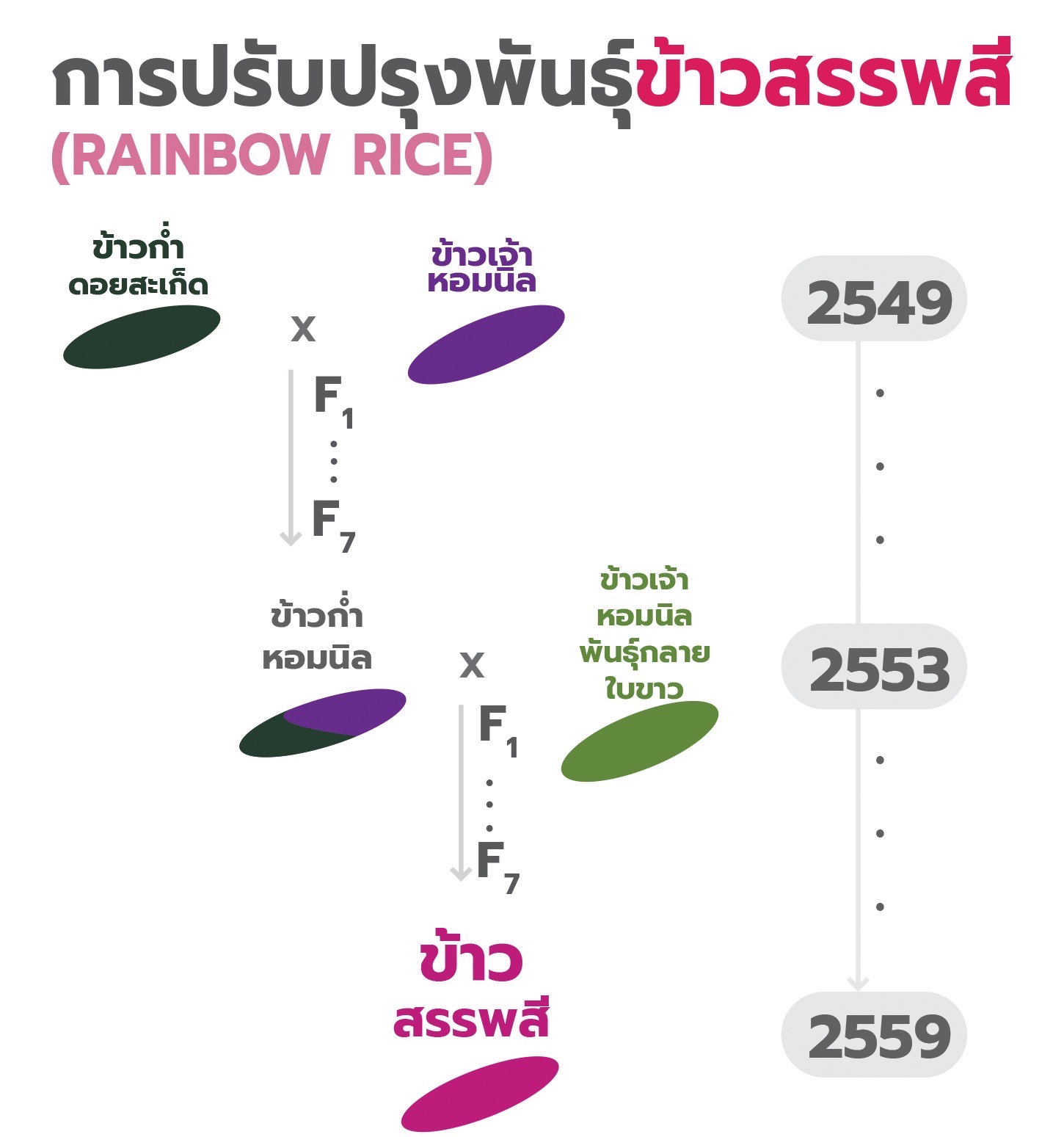 F3D6AEAB 738E 4223 9FB2 F65BA9E4C475