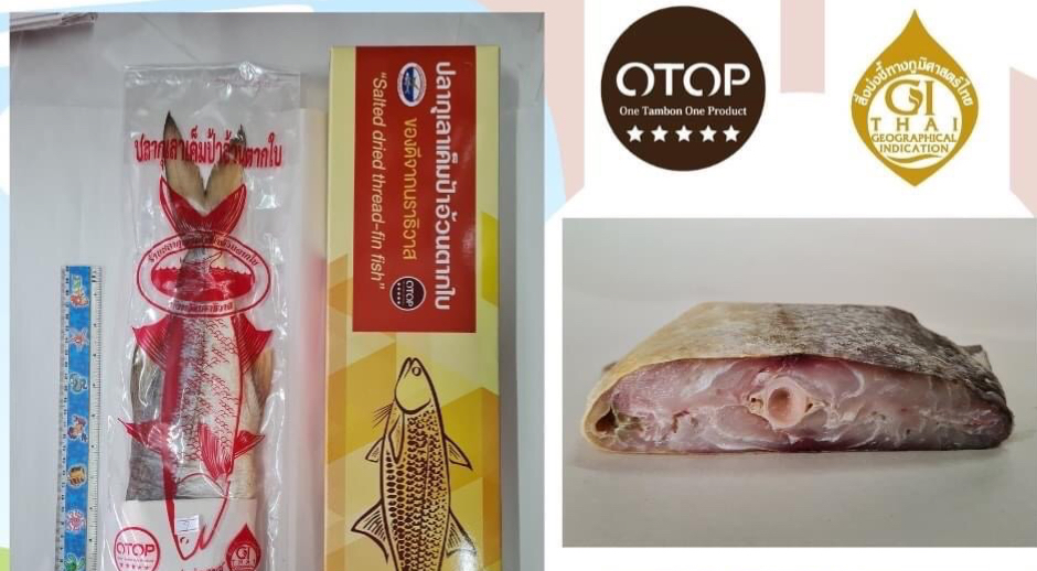 รัฐบาลเคลียร์ดราม่า”ปลากุเลาตากใบ”เสิร์ฟผู้นำเอเปก ยันซื้อจริงของแท้จากร้านป้าอ้วนโอทอป 5 ดาว 1 FC7DF205 7D5C 4578 987C C919180DFAD8