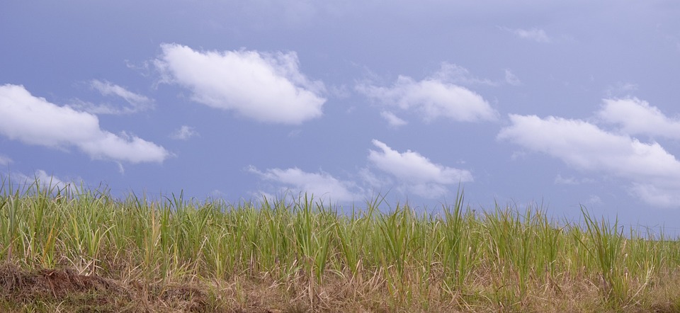 landscape 1215372 960 720